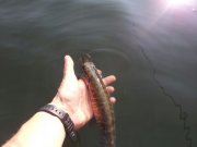 IMG_2013081211935.jpg