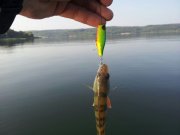 IMG_2013081224370.jpg