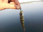 IMG_2013081237110.jpg