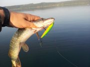 IMG_2013081259637.jpg