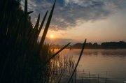 _MG_9931.jpg