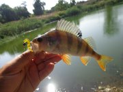 DSC01392.JPG