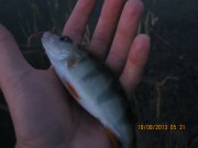 IMG_0690.JPG