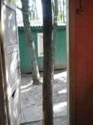 P8161268 [Разрешение рабочего стола].JPG