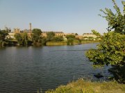DSC08631.JPG