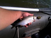 IMG_20130821_131516.jpg