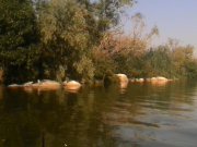 IMG_20130821_154449.jpg