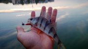 WP_20130822_008.jpg