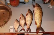 IMG_5822.JPG