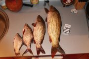 IMG_5825.JPG