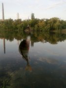 22082013226.jpg