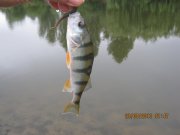 IMG_0718.JPG