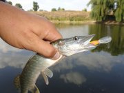 DSC01447.JPG