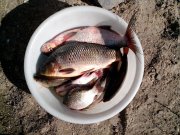 IMG_20130825_150216.jpg