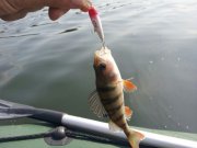 IMG_2013082514404.jpg