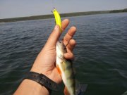 IMG_2013082522815.jpg