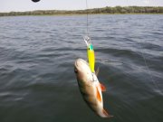 IMG_201308254936.jpg