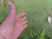 DSC00373.JPG