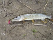 DSC01477.JPG