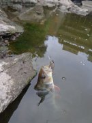 DSC01466.JPG
