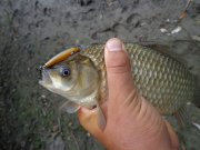 DSC01475.JPG