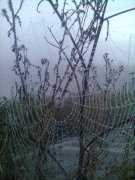 фотографія0105.jpg