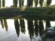 DSC08683.JPG