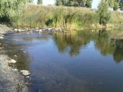 DSC08684.JPG
