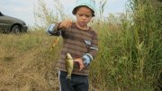 IMG_1773.jpg
