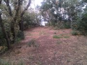 IMG_20130829_135857.jpg