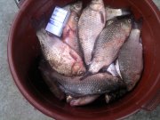 IMG_20130829_151429.jpg