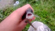 WP_20130829_002.jpg