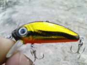 DSC08704.JPG