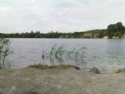 DSC08706.JPG