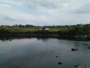 DSC08708.JPG