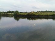 DSC08709.JPG