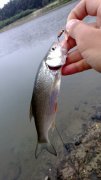 WP_20130831_001.jpg