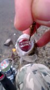 WP_20130831_007.jpg