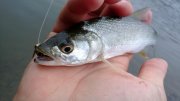 WP_20130831_008.jpg