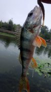 WP_20130831_013.jpg