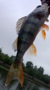 WP_20130831_014.jpg