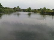 DSC08721.JPG