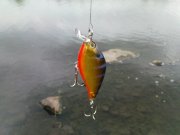 DSC08720.JPG