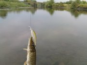 DSC08715.JPG
