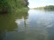 DSC04133.JPG