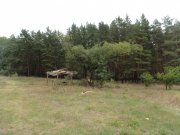 DSC00400.JPG