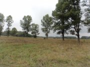 DSC00401.JPG