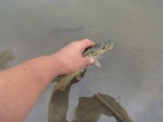 DSC00419.JPG