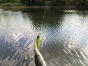 DSC08733.JPG