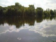 DSC08734.JPG